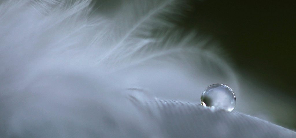 alain couci coaching deuil